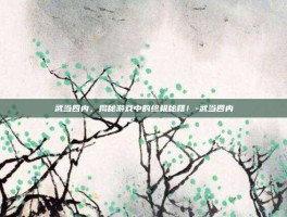 武当四内，揭秘游戏中的终极秘籍！-武当四内