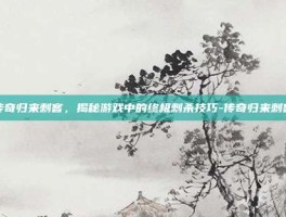 传奇归来刺客，揭秘游戏中的终极刺杀技巧-传奇归来刺客