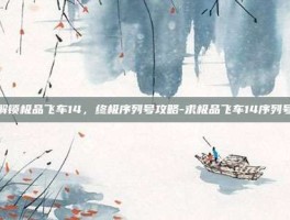 解锁极品飞车14，终极序列号攻略-求极品飞车14序列号