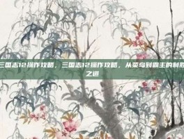 三国志12操作攻略，三国志12操作攻略，从菜鸟到霸主的制胜之道