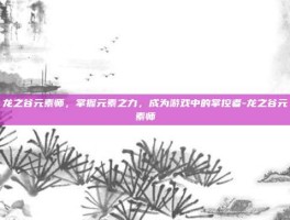 龙之谷元素师，掌握元素之力，成为游戏中的掌控者-龙之谷元素师