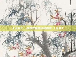 十全补丁，游戏更新的终极指南-十全补丁