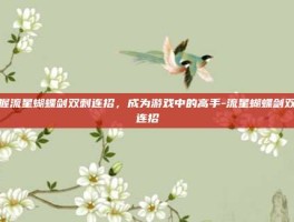 掌握流星蝴蝶剑双刺连招，成为游戏中的高手-流星蝴蝶剑双刺连招