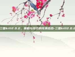 三国kill2.0.2，策略与技巧的完美结合-三国kill2.0.2