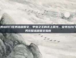 安其拉开门任务流程图文，甲虫之王的无上荣光，安其拉开门任务完整流程图文指南