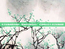 龙之谷加点器全解析，精准定位角色成长，打造极致实力-龙之谷加点器