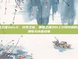黑暗之魂3dlc2，终焉之焰，黑暗之魂3DLC2环印城的末世挽歌与诗意终章