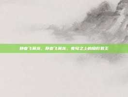 静音飞翼龙，静音飞翼龙，夜穹之上的隐形君王