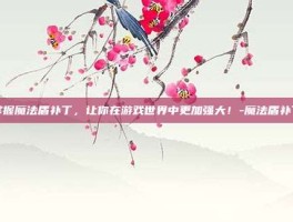 掌握魔法盾补丁，让你在游戏世界中更加强大！-魔法盾补丁