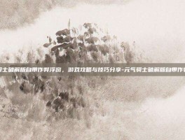 元气骑士破解版自带作弊浮窗，游戏攻略与技巧分享-元气骑士破解版自带作弊浮窗