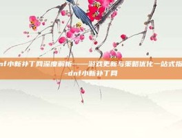 dnf小新补丁网深度解析——游戏更新与策略优化一站式指南-dnf小新补丁网