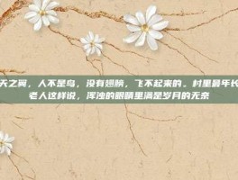 掠天之翼，人不是鸟，没有翅膀，飞不起来的。村里最年长的老人这样说，浑浊的眼睛里满是岁月的无奈