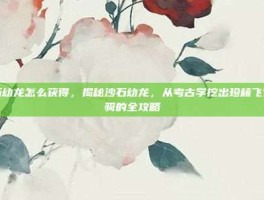 沙石幼龙怎么获得，揭秘沙石幼龙，从考古学挖出珍稀飞行坐骑的全攻略