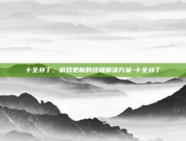 十全补丁，游戏更新的终极解决方案-十全补丁