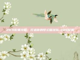 2K9配置攻略，打造你的梦幻篮球队-2k9配置