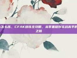 cfak怎么练，CFAK训练全攻略，从零基础到实战高手的进阶之路
