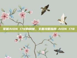 掌握AION 178的精髓，全面攻略指南-AION 178