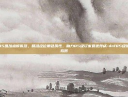 dnf85级加点模拟器，精准定位角色属性，助力85级玩家最优养成-dnf85级加点模拟器