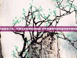 寒假作业意外之旅，中国小学生的游戏冒险-小学生寒假作业丢国外被中国游客带回