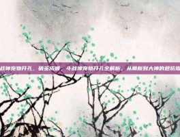 斗战神宠物开孔，破茧成蝶，斗战神宠物开孔全解析，从萌新到大神的避坑指南