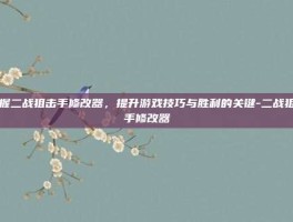 掌握二战狙击手修改器，提升游戏技巧与胜利的关键-二战狙击手修改器