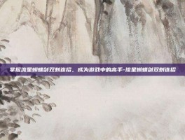 掌握流星蝴蝶剑双刺连招，成为游戏中的高手-流星蝴蝶剑双刺连招