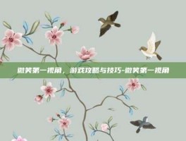 微笑第一视角，游戏攻略与技巧-微笑第一视角