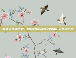 掌握天罗输出宏，游戏攻略与技巧全解析-天罗输出宏