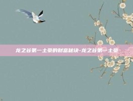 龙之谷第一土豪的财富秘诀-龙之谷第一土豪