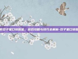 探索双子星口袋图鉴，游戏攻略与技巧全解析-双子星口袋图鉴