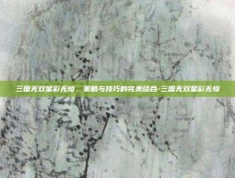三国无双星彩无惨，策略与技巧的完美结合-三国无双星彩无惨
