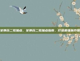 女弹药二觉加点，女弹药二觉加点指南，打造最强轰炸姬