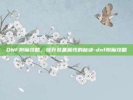 DNF附魔攻略，提升装备属性的秘诀-dnf附魔攻略