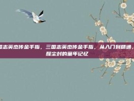 三国志英杰传金手指，三国志英杰传金手指，从入门到精通，唤醒尘封的童年记忆