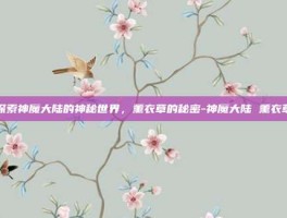 探索神魔大陆的神秘世界，薰衣草的秘密-神魔大陆 薰衣草