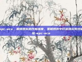 wpc-ace，解锁团队协作新维度，策略博弈中打造顶尖竞技体验-wpc-ace