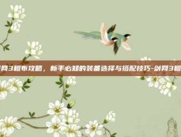 剑网3粗布攻略，新手必知的装备选择与搭配技巧-剑网3粗布