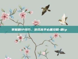 掌握刷IP技巧，游戏高手必备攻略-刷ip
