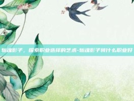 斩魂影子，探索职业选择的艺术-斩魂影子转什么职业好
