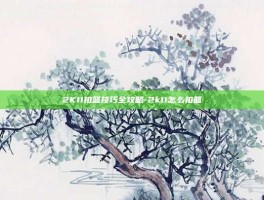 2K11扣篮技巧全攻略-2k11怎么扣篮