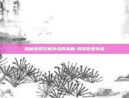 揭秘西西炫舞外挂的真相-西西炫舞外挂