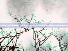 冒险岛火炮手深度解析，如何高效加点以提升战斗效率-冒险岛火炮手属性加点