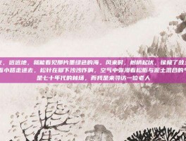 森林之友，远远地，就能看见那片墨绿色的海。风来时，树梢起伏，像极了故乡的丘陵。我沿着小路走进去，松针在脚下沙沙作响，空气中弥漫着松脂与泥土混合的气息。这是七十年代的林场，而我是来寻访一位老人
