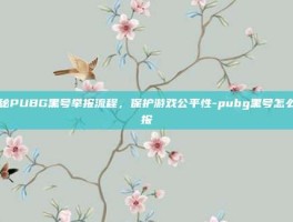 揭秘PUBG黑号举报流程，保护游戏公平性-pubg黑号怎么举报