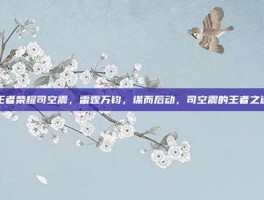 王者荣耀司空震，雷霆万钧，谋而后动，司空震的王者之道