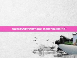揭秘风暴之眼中的精气奥秘-暴风精气能转出什么
