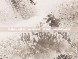三国志11长坂坡，血战长坂坡，三国志11中的绝境与荣耀