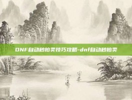 DNF自动秒拍卖技巧攻略-dnf自动秒拍卖