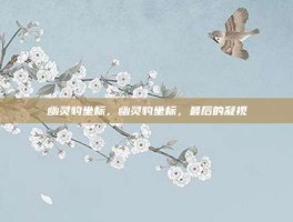 幽灵豹坐标，幽灵豹坐标，最后的凝视