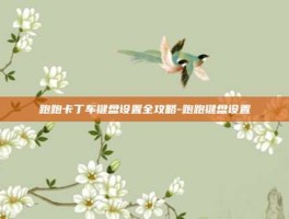 跑跑卡丁车键盘设置全攻略-跑跑键盘设置